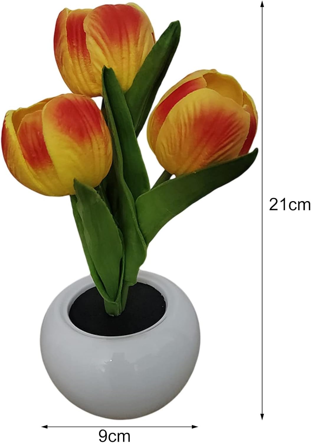 BloomTulip – Une fusion de romantisme et de lumière !