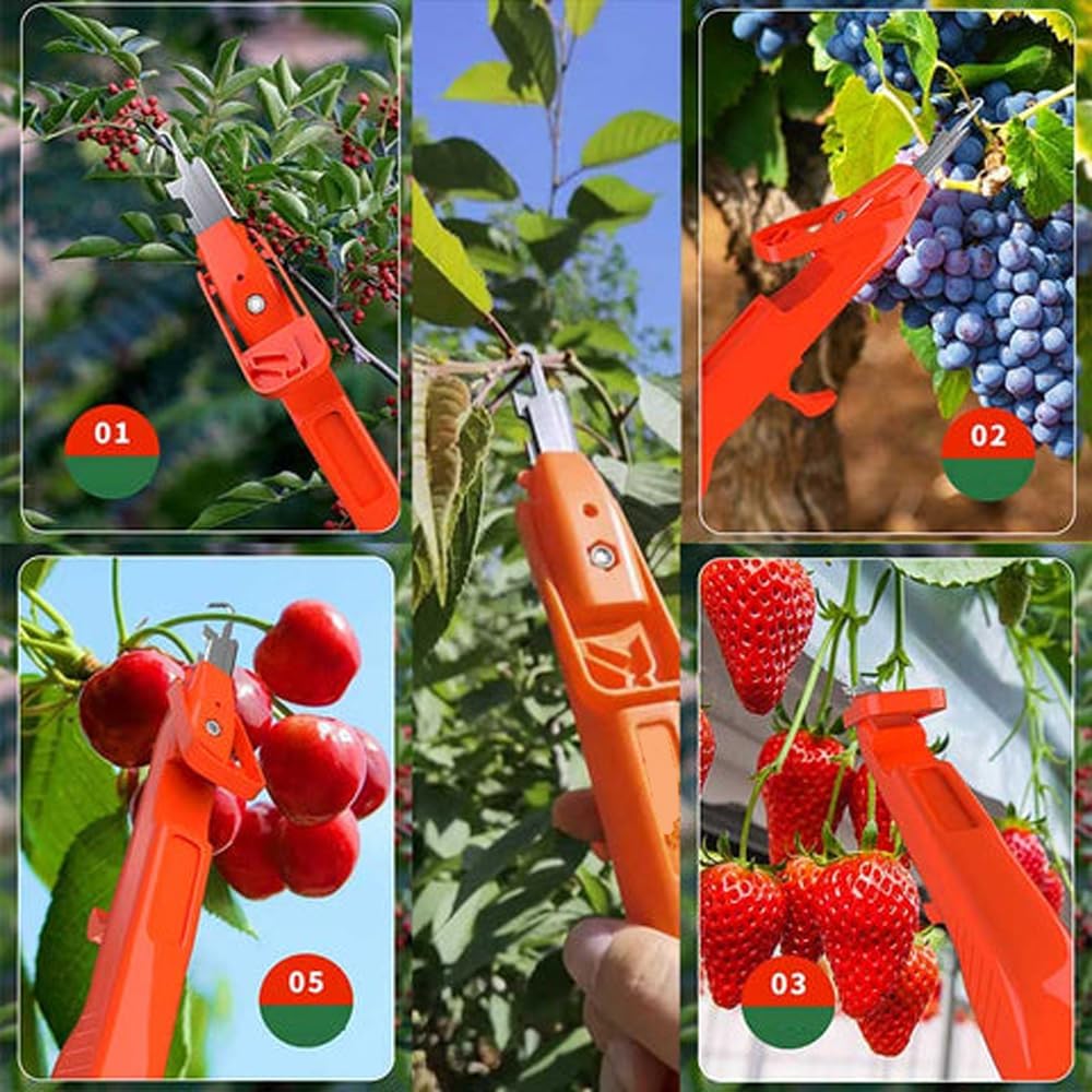 GartenMeister – Récolte facile sans effort !