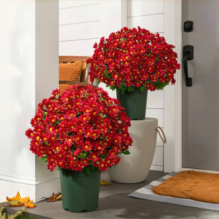 AutumnBloom – Beauté automnale durable sans entretien !
