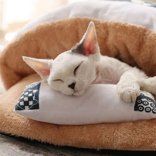 SleepyPaw – Lit pour animaux de compagnie douillet avec coussin