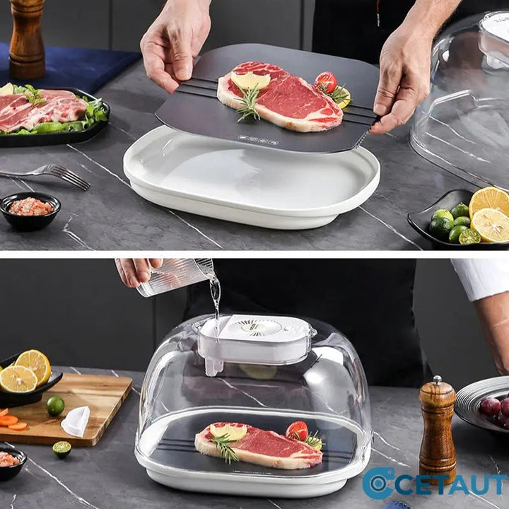 FreshThaw Pro – Décongélation de la viande en minutes, pas en heures !