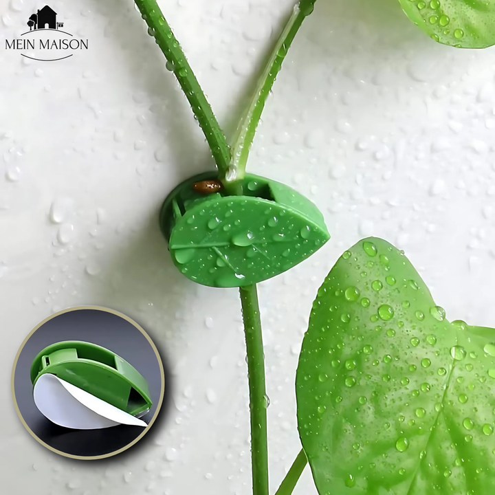 10+10 GRATUIT | GrowGrip - Clips de fixation pour plantes