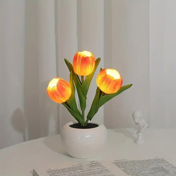 BloomTulip – Une fusion de romantisme et de lumière !