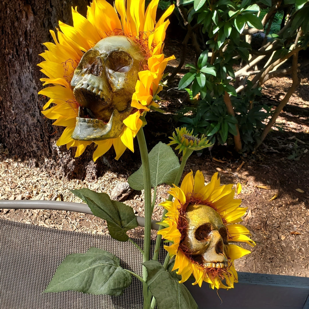 BloomSkull – La fascinante et belle fleur de tournesol, parfaite pour Halloween !