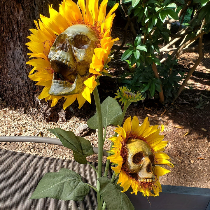 BloomSkull – La fascinante et belle fleur de tournesol, parfaite pour Halloween !