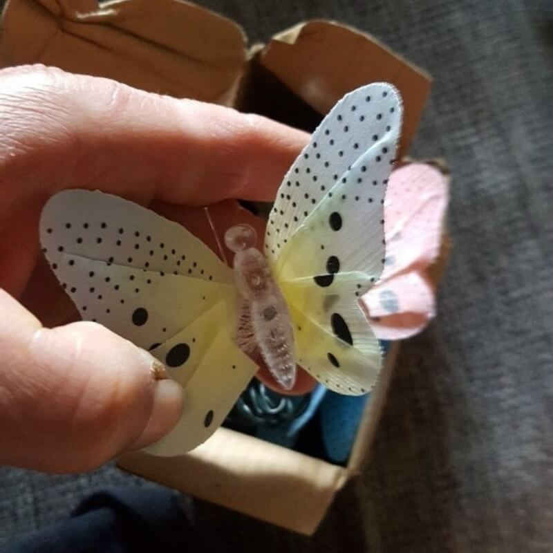 LumiWings – Transformez votre jardin et votre maison en un royaume féerique magique !