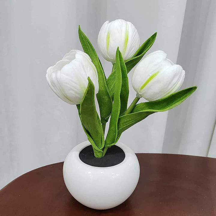 BloomTulip – Une fusion de romantisme et de lumière !