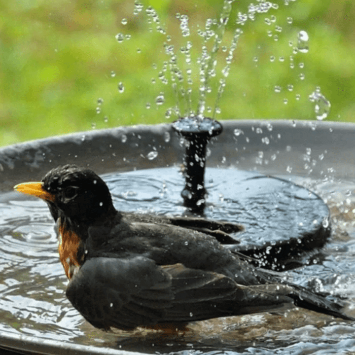 WaterGlow – Fontaine solaire avec LED et 4 motifs de jets d'eau différents !