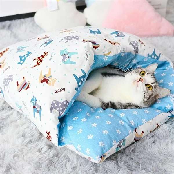 SleepyPaw – Lit pour animaux de compagnie douillet avec coussin
