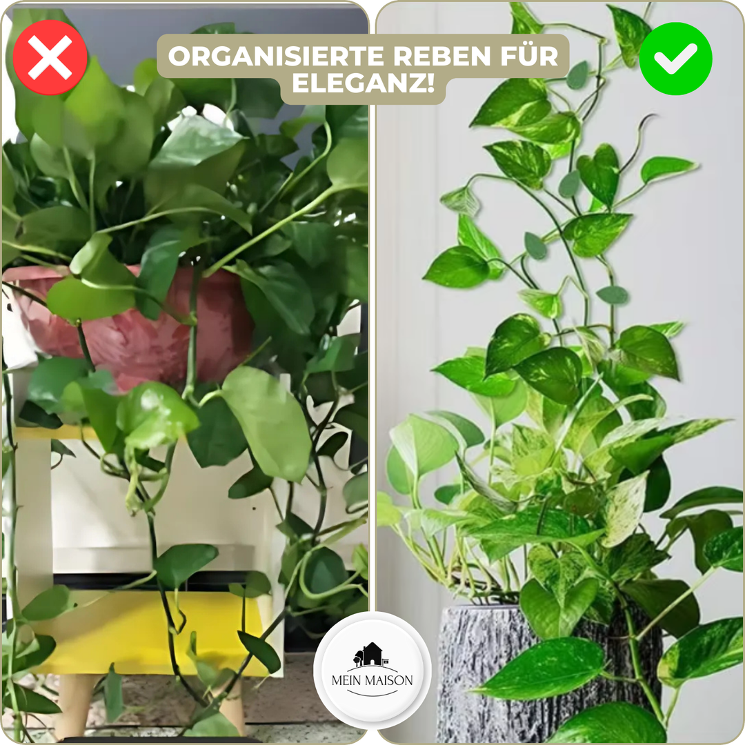 10+10 GRATUIT | GrowGrip - Clips de fixation pour plantes