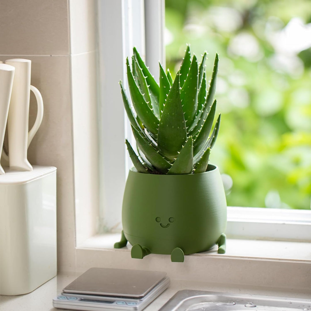 BloomBuddy – Plantes heureuses, maison joyeuse