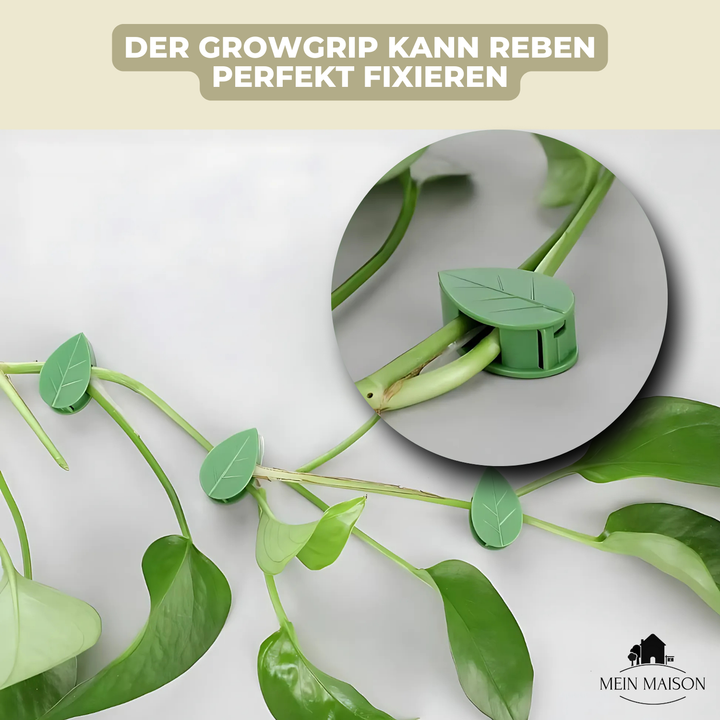 10+10 GRATUIT | GrowGrip - Clips de fixation pour plantes