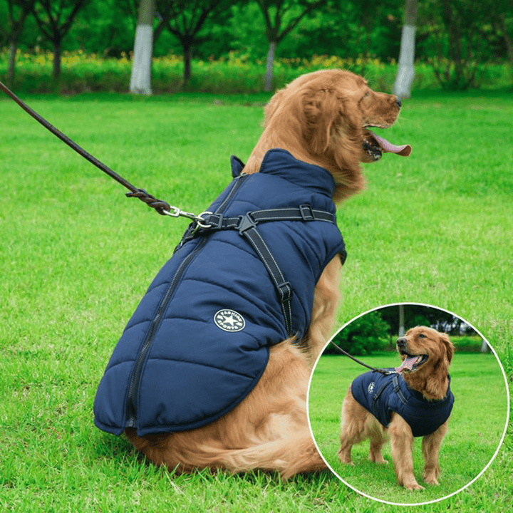 PupGuard - Veste d'hiver pour chien avec harnais
