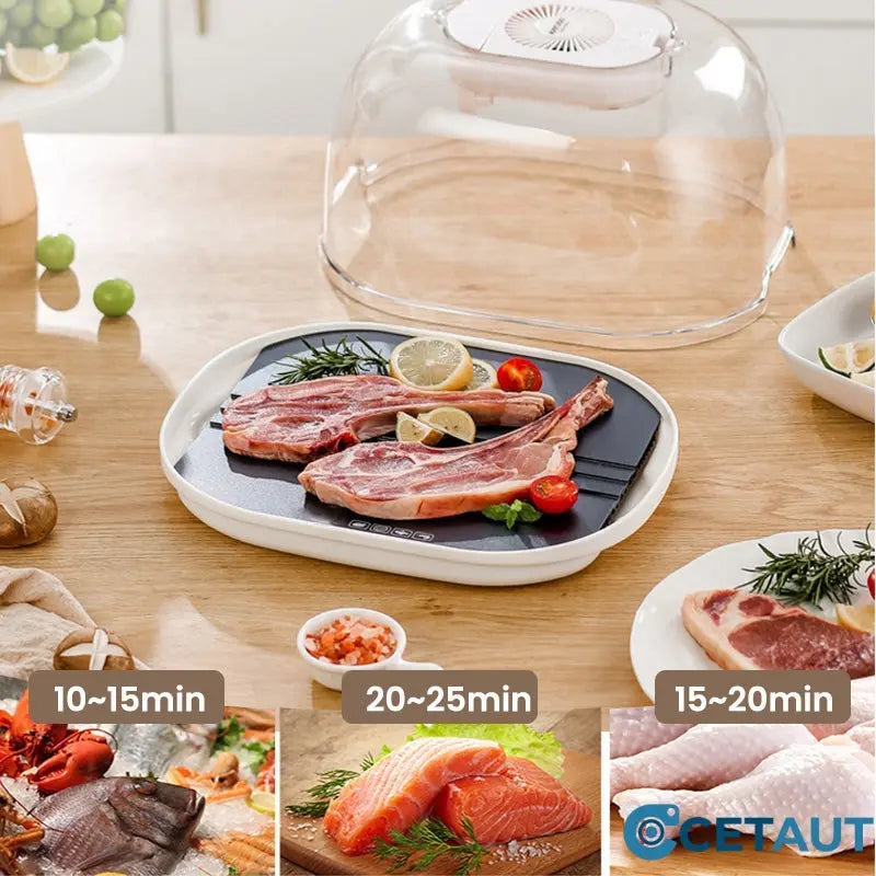 FreshThaw Pro – Décongélation de la viande en minutes, pas en heures !