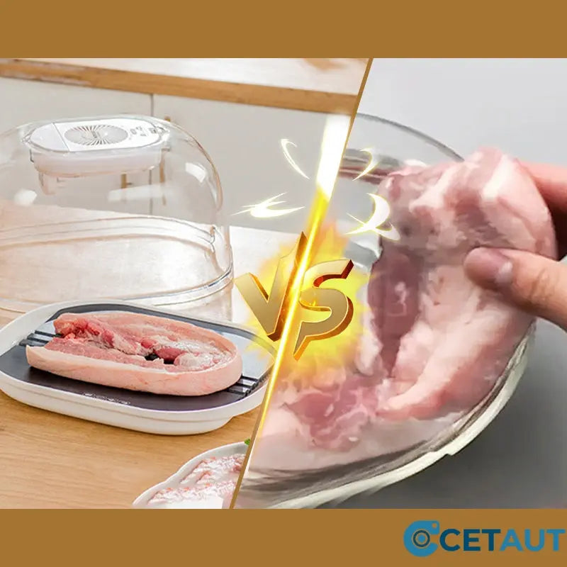FreshThaw Pro – Décongélation de la viande en minutes, pas en heures !