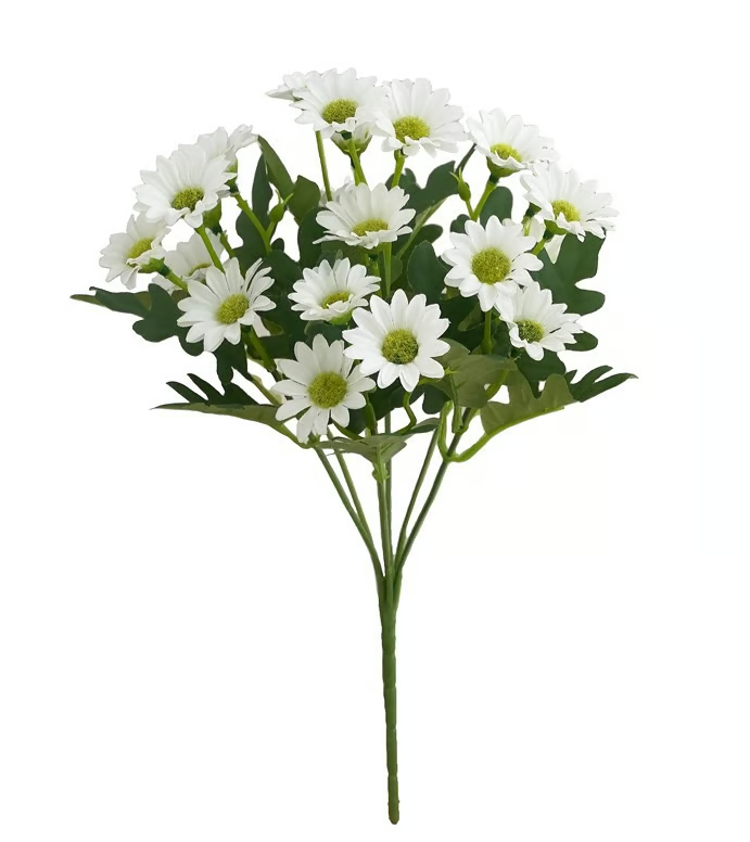 AutumnBloom – Beauté automnale durable sans entretien !
