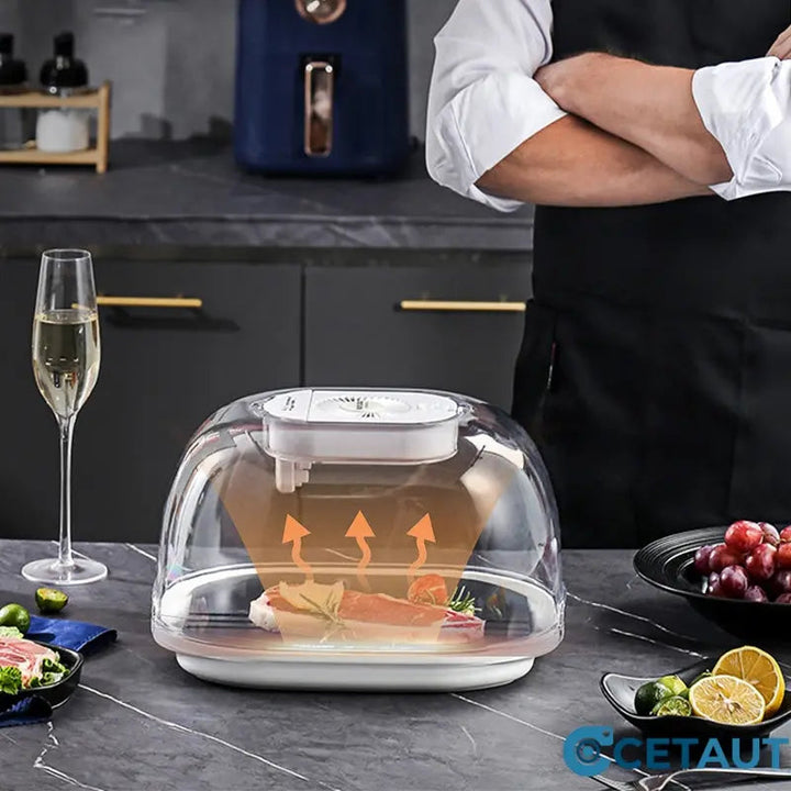 FreshThaw Pro – Décongélation de la viande en minutes, pas en heures !