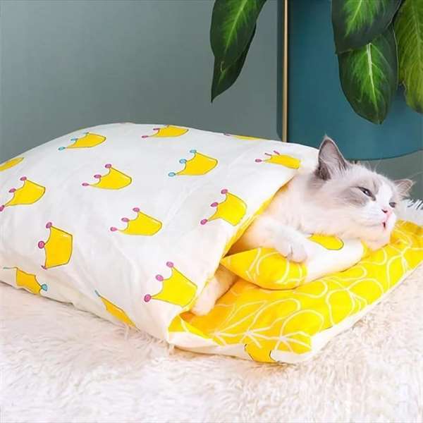 SleepyPaw – Lit pour animaux de compagnie douillet avec coussin