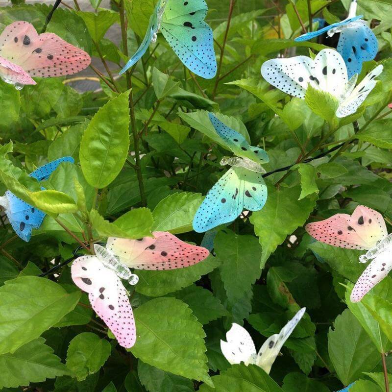 LumiWings – Transformez votre jardin et votre maison en un royaume féerique magique !