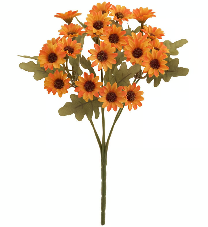 AutumnBloom – Beauté automnale durable sans entretien !