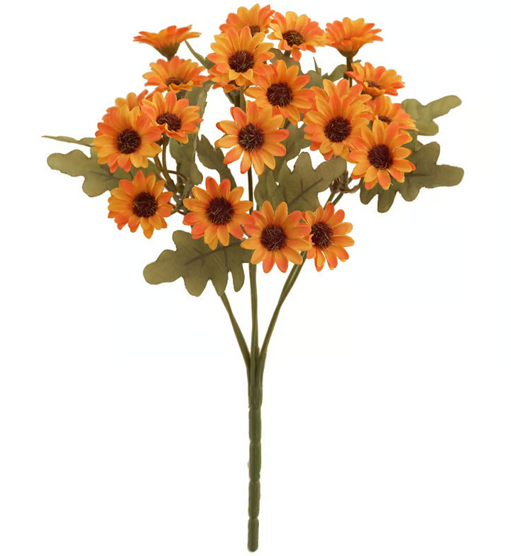 AutumnBloom – Beauté automnale durable sans entretien !