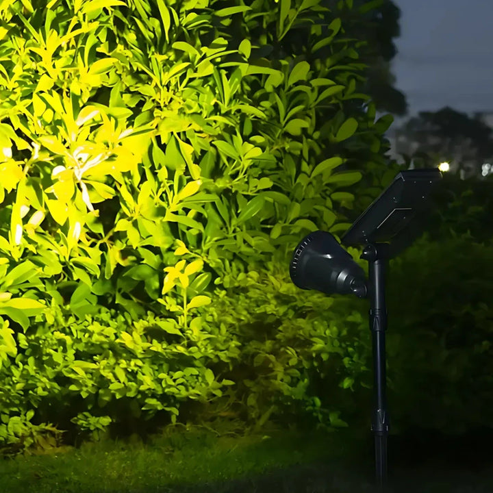 Projecteur de jardin LED solaire