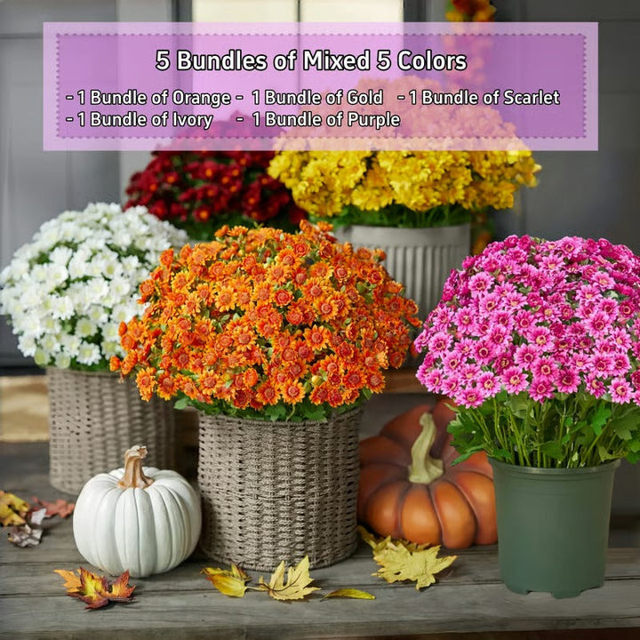 AutumnBloom – Beauté automnale durable sans entretien !