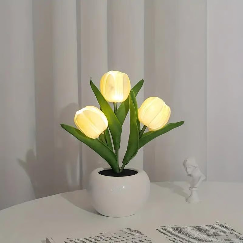 BloomTulip – Une fusion de romantisme et de lumière !