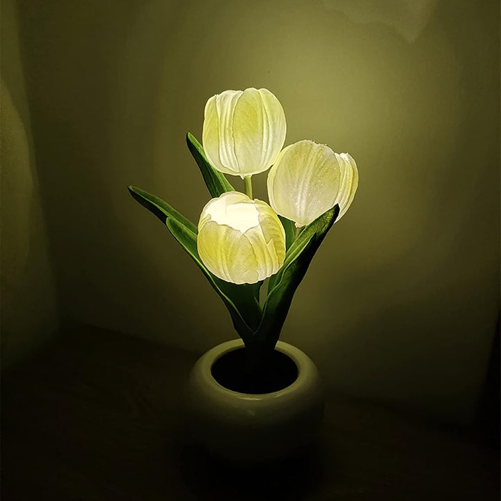 BloomTulip – Une fusion de romantisme et de lumière !