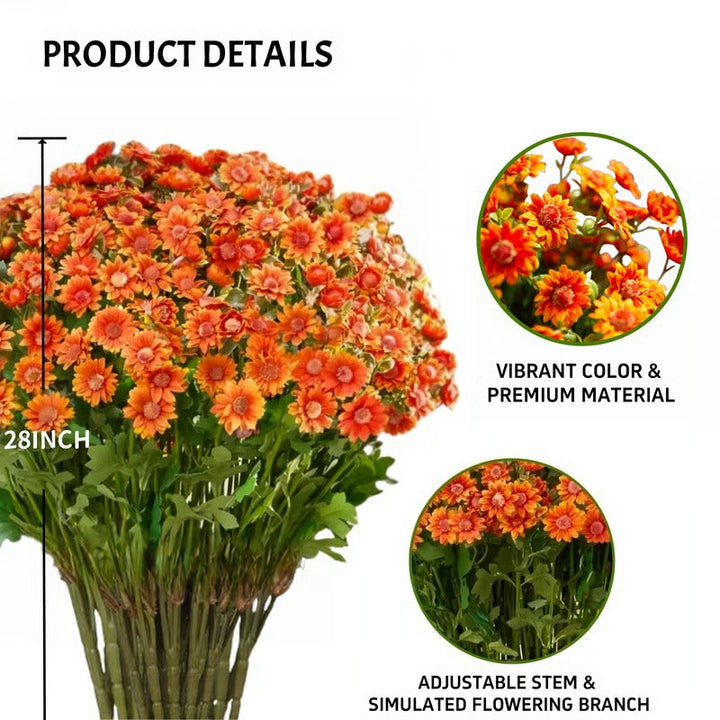 AutumnBloom – Beauté automnale durable sans entretien !