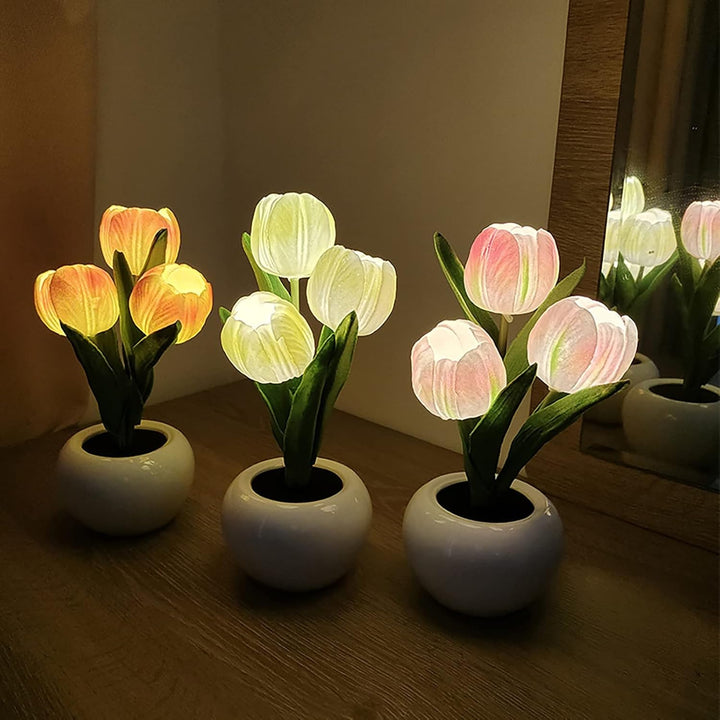 BloomTulip – Une fusion de romantisme et de lumière !