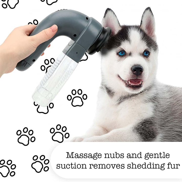 CleanFur – Élimine définitivement les poils d'animaux tenaces !