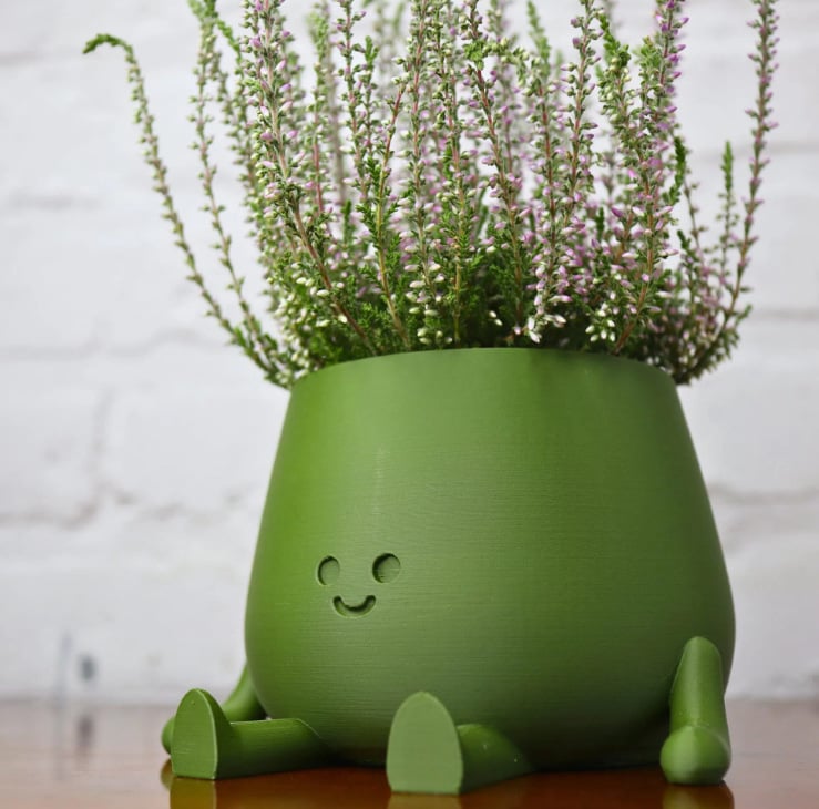 BloomBuddy – Plantes heureuses, maison joyeuse