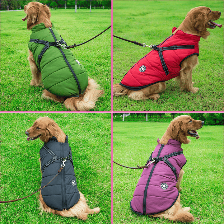 PupGuard - Veste d'hiver pour chien avec harnais