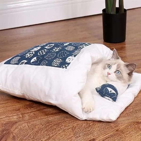 SleepyPaw – Lit pour animaux de compagnie douillet avec coussin