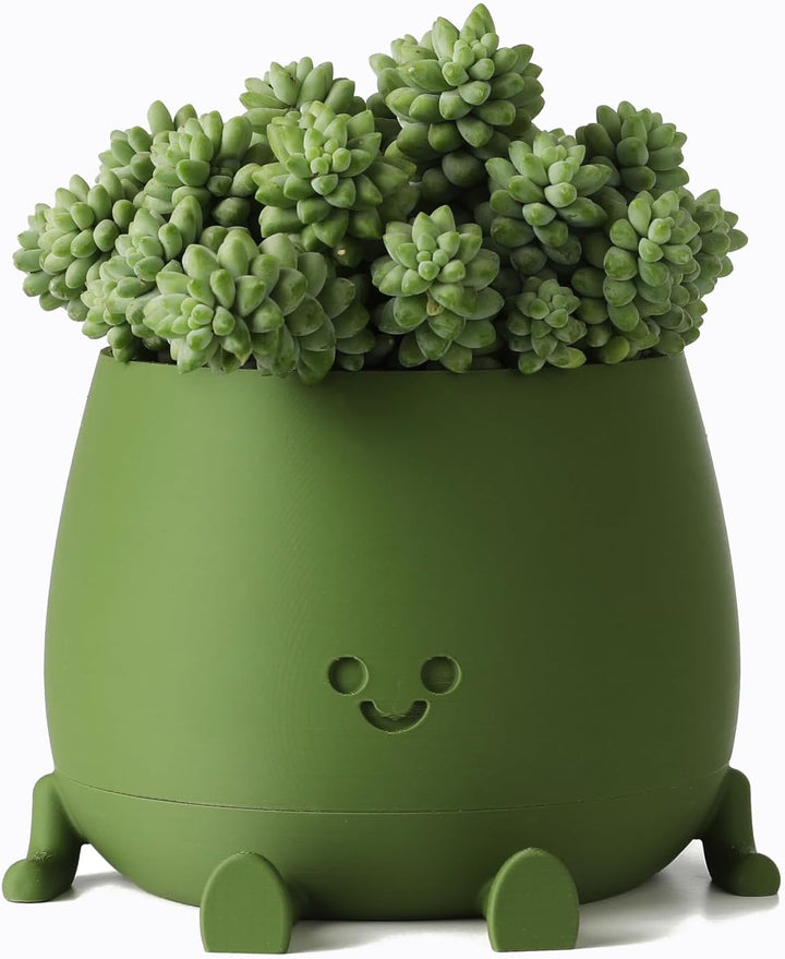 BloomBuddy – Plantes heureuses, maison joyeuse