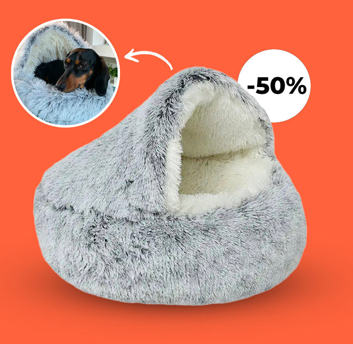 FurHaven - Mon chien adore