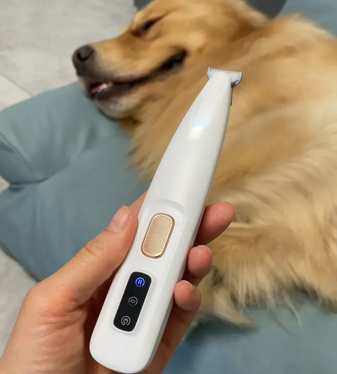 PawSpa - Tondeuse silencieuse et étanche pour chats et chiens