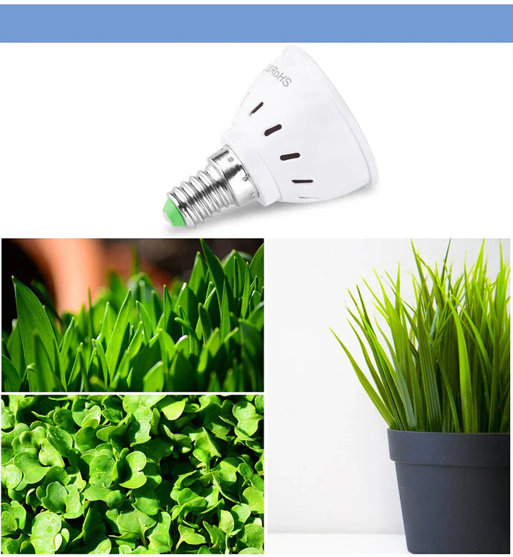 Lampe de culture LED | E27/E14/B22/GU10/MR16 | Plein spectre | 48/60 LEDs pour la croissance et la floraison