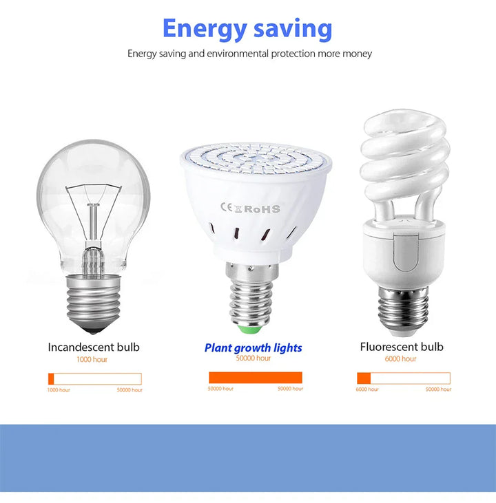 Lampe de culture LED | E27/E14/B22/GU10/MR16 | Plein spectre | 48/60 LEDs pour la croissance et la floraison