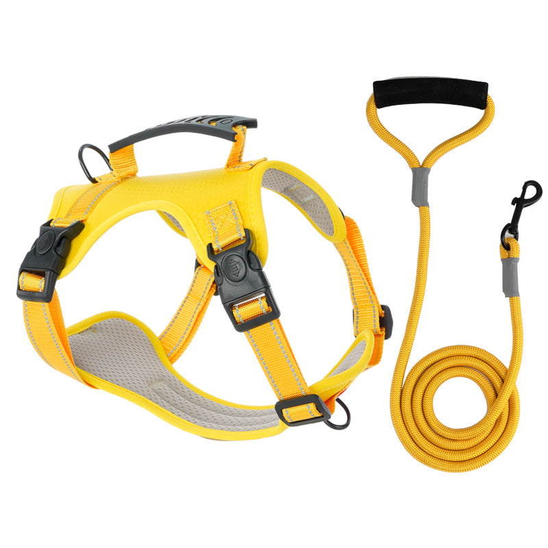 TailMate - Le harnais confortable pour chien