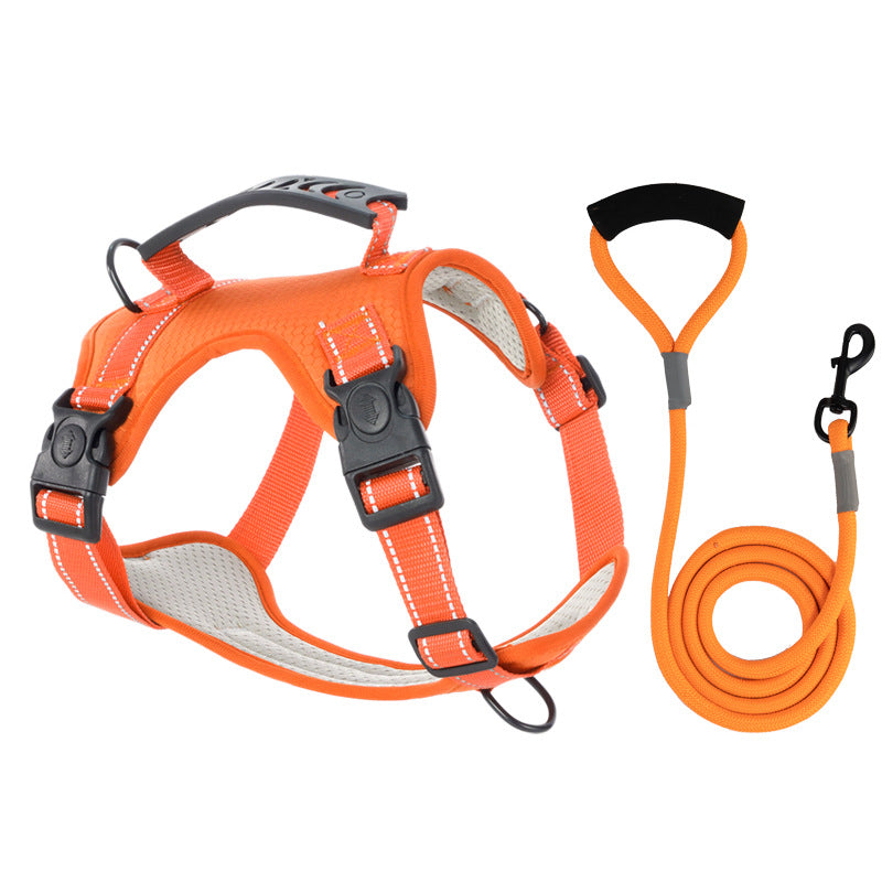 TailMate - Le harnais confortable pour chien