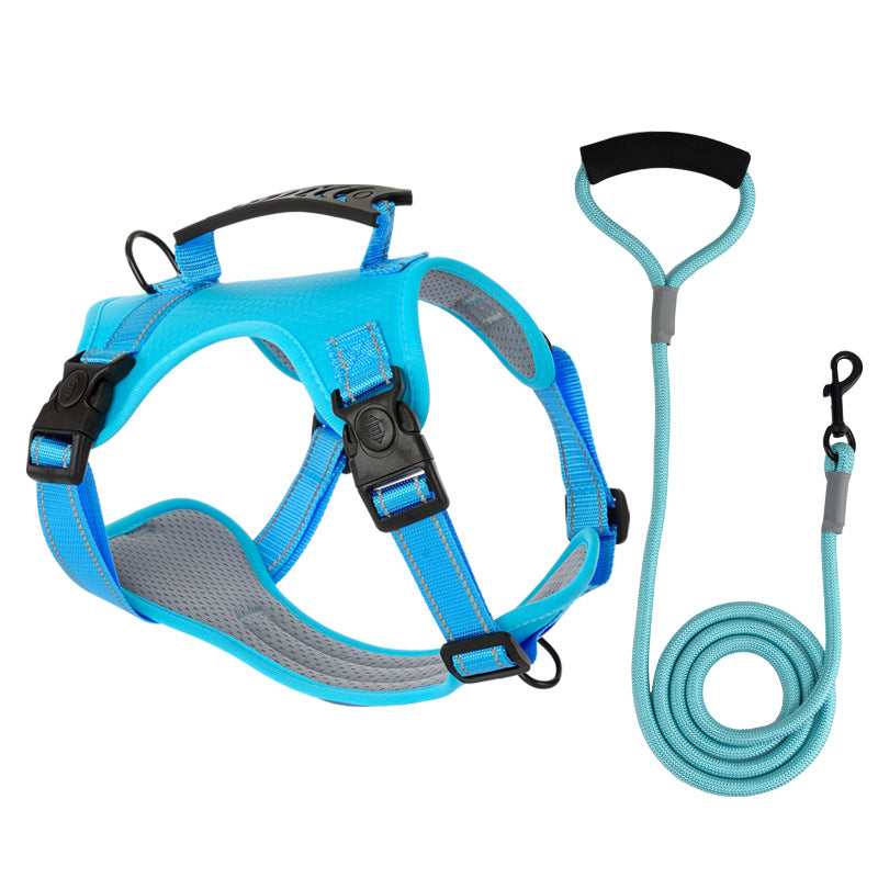 TailMate - Le harnais confortable pour chien