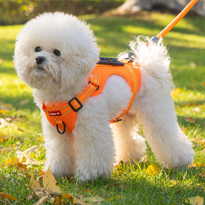 TailMate - Le harnais confortable pour chien
