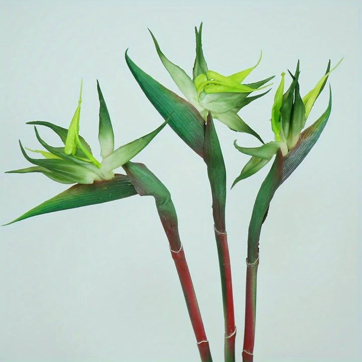 Floriva Ensemble de 3 Fleurs Artificielles de Strelitzia | Fleurs Oiseau de Paradis | Tiges de 24,5 cm | Décoration pour la Maison, Bureau & Événements