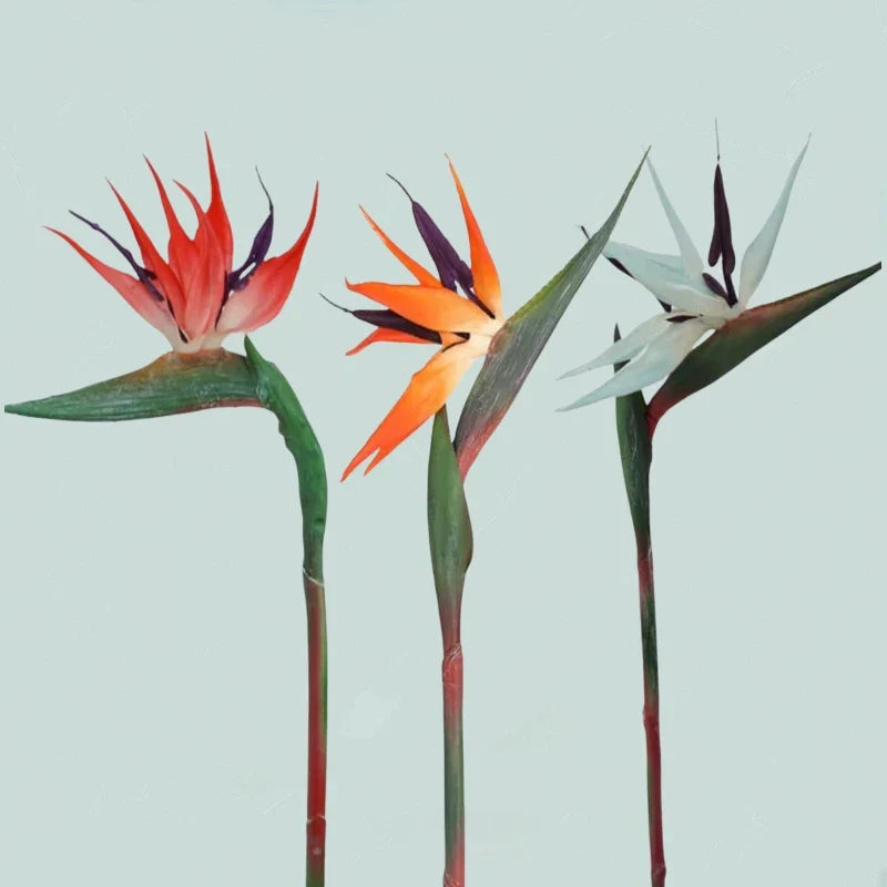 Floriva Ensemble de 3 Fleurs Artificielles de Strelitzia | Fleurs Oiseau de Paradis | Tiges de 24,5 cm | Décoration pour la Maison, Bureau & Événements