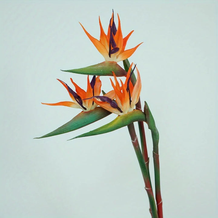 Floriva Ensemble de 3 Fleurs Artificielles de Strelitzia | Fleurs Oiseau de Paradis | Tiges de 24,5 cm | Décoration pour la Maison, Bureau & Événements