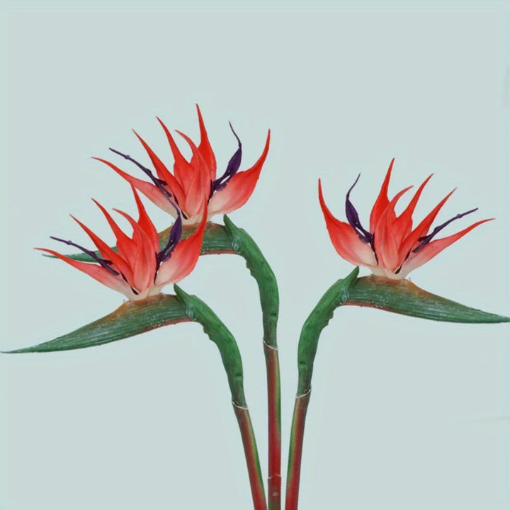Floriva Ensemble de 3 Fleurs Artificielles de Strelitzia | Fleurs Oiseau de Paradis | Tiges de 24,5 cm | Décoration pour la Maison, Bureau & Événements