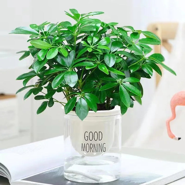 Plante artificielle EverLeaf 33 | 33 cm | Avec tige et feuilles | Décoration facile à entretenir pour la maison et le bureau