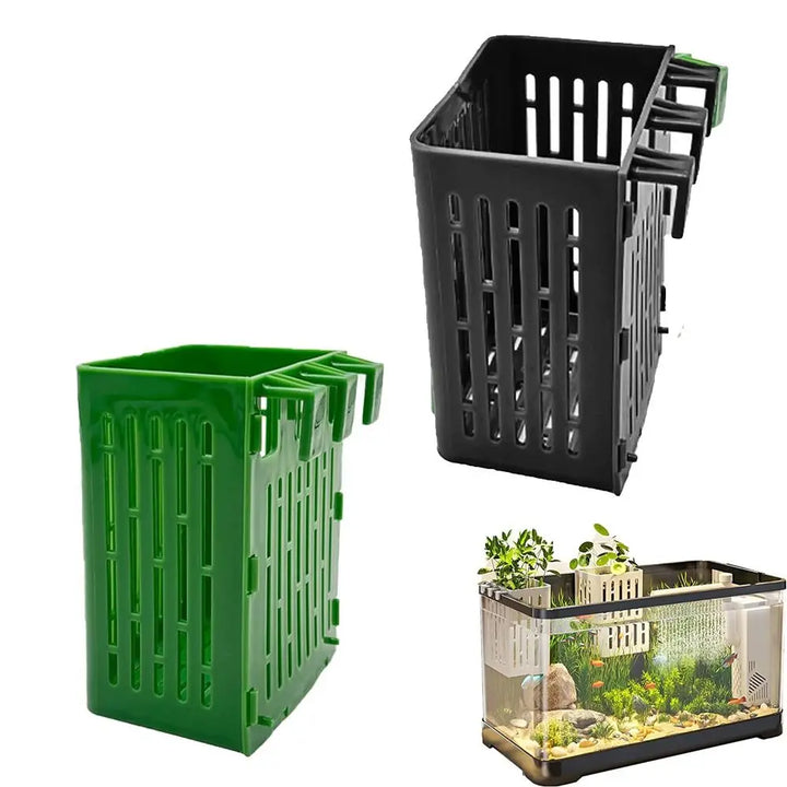 1+1 GRATUIT | TankBloom – Beauté naturelle sans entretien !